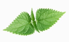 Тонизирующие крапивные маски для разных типов кожи